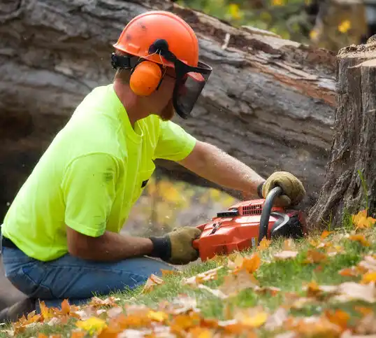 tree services Yaphank